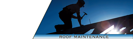 Gutter Cleaning Service London: 4gutter Cleaning